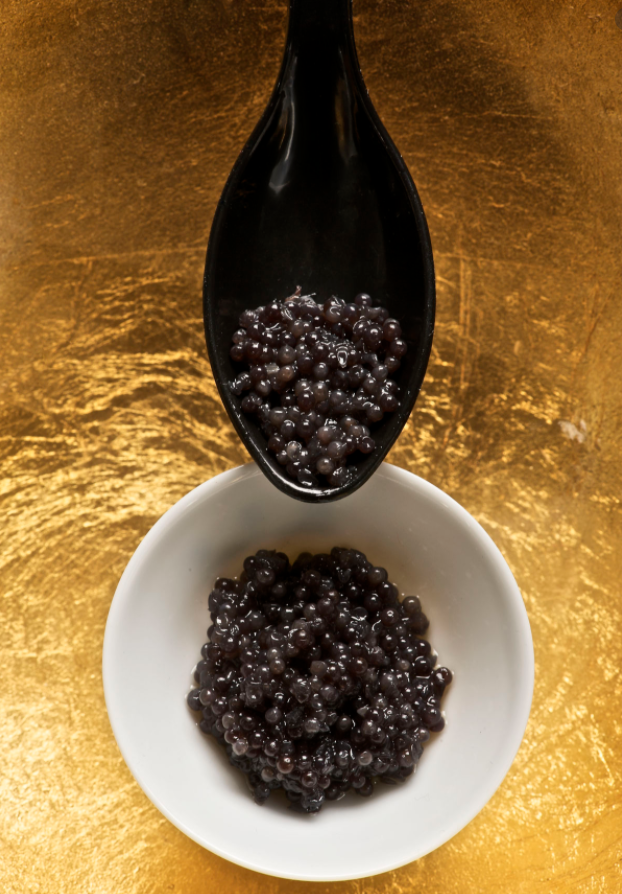 A brief history of beluga caviar